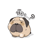 Pongpang the pug（個別スタンプ：4）