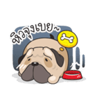 Pongpang the pug（個別スタンプ：5）