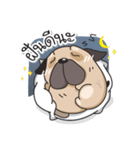 Pongpang the pug（個別スタンプ：6）