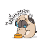 Pongpang the pug（個別スタンプ：8）