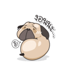 Pongpang the pug（個別スタンプ：9）