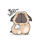 Pongpang the pug（個別スタンプ：10）