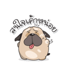 Pongpang the pug（個別スタンプ：12）