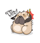 Pongpang the pug（個別スタンプ：13）