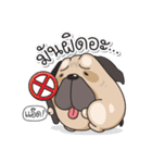 Pongpang the pug（個別スタンプ：14）