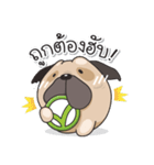 Pongpang the pug（個別スタンプ：15）