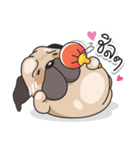 Pongpang the pug（個別スタンプ：17）