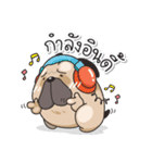 Pongpang the pug（個別スタンプ：21）