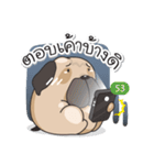 Pongpang the pug（個別スタンプ：26）