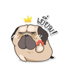 Pongpang the pug（個別スタンプ：29）