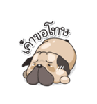 Pongpang the pug（個別スタンプ：35）