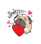 Pongpang the pug（個別スタンプ：36）