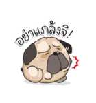 Pongpang the pug（個別スタンプ：37）