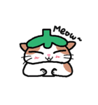 Hey！ Kittimato（個別スタンプ：1）