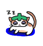 Hey！ Kittimato（個別スタンプ：12）