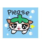 Hey！ Kittimato（個別スタンプ：13）