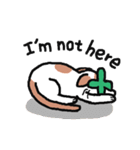Hey！ Kittimato（個別スタンプ：26）