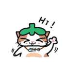 Hey！ Kittimato（個別スタンプ：27）