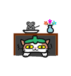 Hey！ Kittimato（個別スタンプ：37）