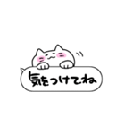 フキダシねこ（個別スタンプ：17）