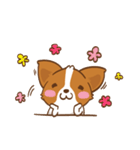 Corgi Dog KaKa - Drama Queen（個別スタンプ：1）