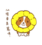 Corgi Dog KaKa - Drama Queen（個別スタンプ：2）