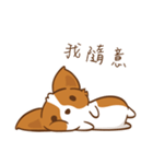 Corgi Dog KaKa - Drama Queen（個別スタンプ：3）