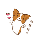 Corgi Dog KaKa - Drama Queen（個別スタンプ：5）