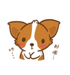 Corgi Dog KaKa - Drama Queen（個別スタンプ：6）