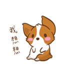 Corgi Dog KaKa - Drama Queen（個別スタンプ：8）