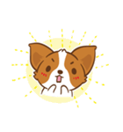 Corgi Dog KaKa - Drama Queen（個別スタンプ：10）