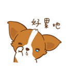 Corgi Dog KaKa - Drama Queen（個別スタンプ：14）