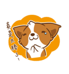 Corgi Dog KaKa - Drama Queen（個別スタンプ：16）