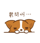 Corgi Dog KaKa - Drama Queen（個別スタンプ：18）