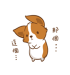 Corgi Dog KaKa - Drama Queen（個別スタンプ：19）