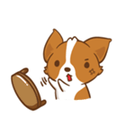 Corgi Dog KaKa - Drama Queen（個別スタンプ：23）