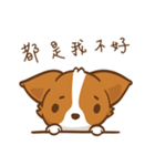 Corgi Dog KaKa - Drama Queen（個別スタンプ：24）