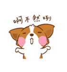 Corgi Dog KaKa - Drama Queen（個別スタンプ：25）