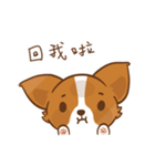 Corgi Dog KaKa - Drama Queen（個別スタンプ：27）