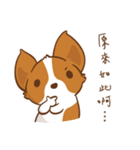 Corgi Dog KaKa - Drama Queen（個別スタンプ：33）