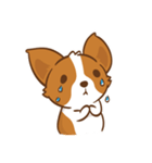 Corgi Dog KaKa - Drama Queen（個別スタンプ：35）