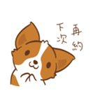 Corgi Dog KaKa - Drama Queen（個別スタンプ：36）