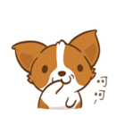 Corgi Dog KaKa - Drama Queen（個別スタンプ：37）