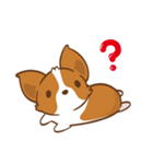 Corgi Dog KaKa - Drama Queen（個別スタンプ：39）