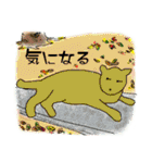イロニャン（個別スタンプ：31）