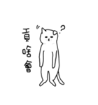 hi Super White cat（個別スタンプ：5）