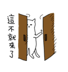 hi Super White cat（個別スタンプ：15）