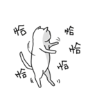 hi Super White cat（個別スタンプ：16）