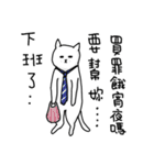 hi Super White cat（個別スタンプ：24）