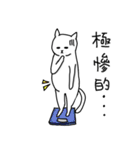 hi Super White cat（個別スタンプ：32）